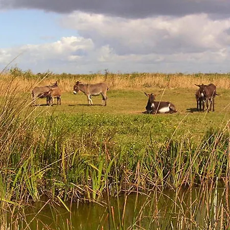 In Vendee Near Sandy Beaches Prázdninový dům
