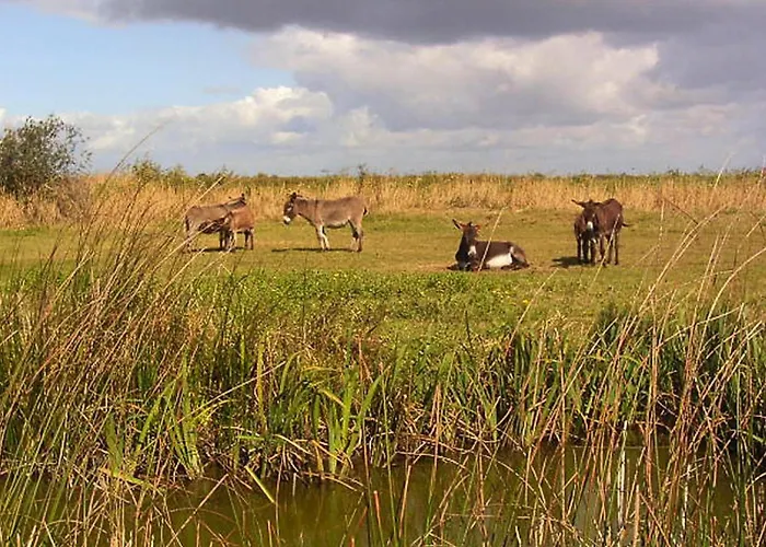 In Vendee Near Sandy Beaches Prázdninový dům